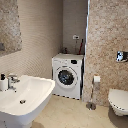 Business And Family Luxury In Floreasca On